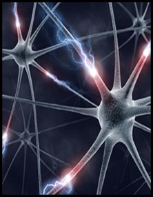 Neuronsmall